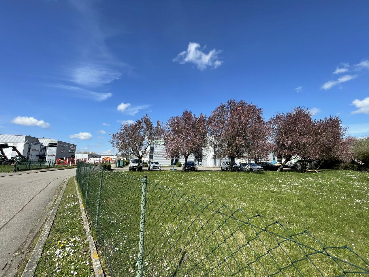 Local d'activité Dettwiller 1250m² Vente local d'activité Dettwiller Bas-Rhin OVACT2421823 7